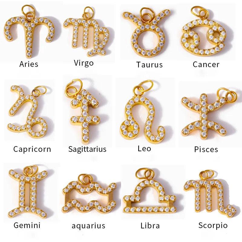 The Zodiac Charms