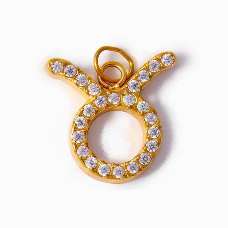 The Zodiac Charms