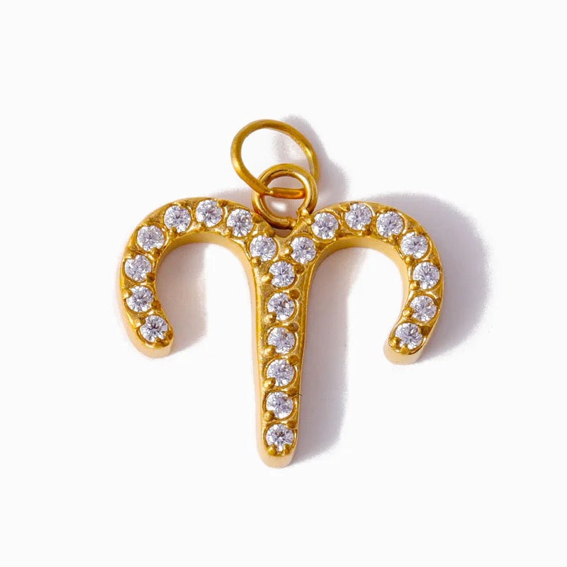The Zodiac Charms