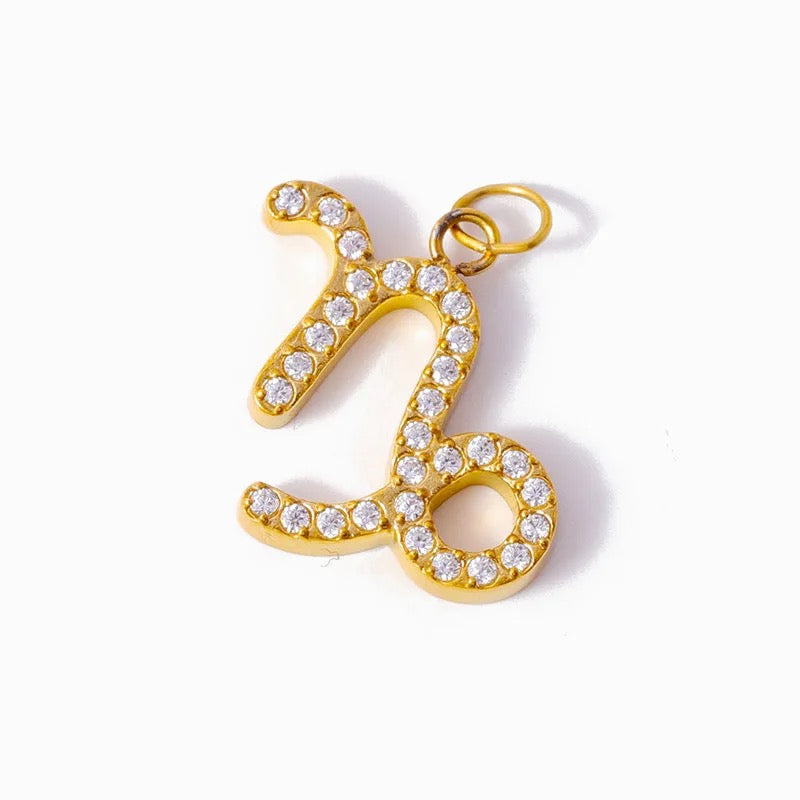 The Zodiac Charms