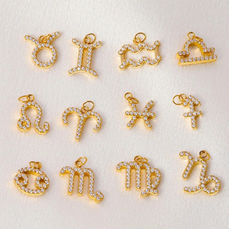The Zodiac Charms