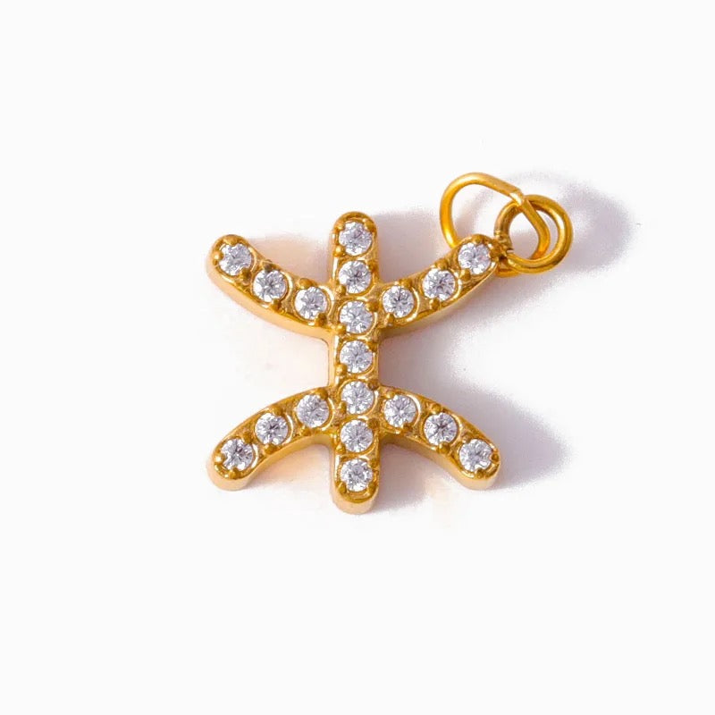 The Zodiac Charms