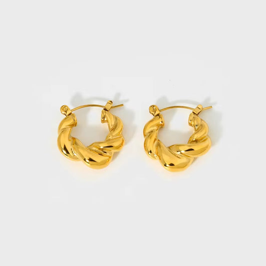 Twisted Earrings
